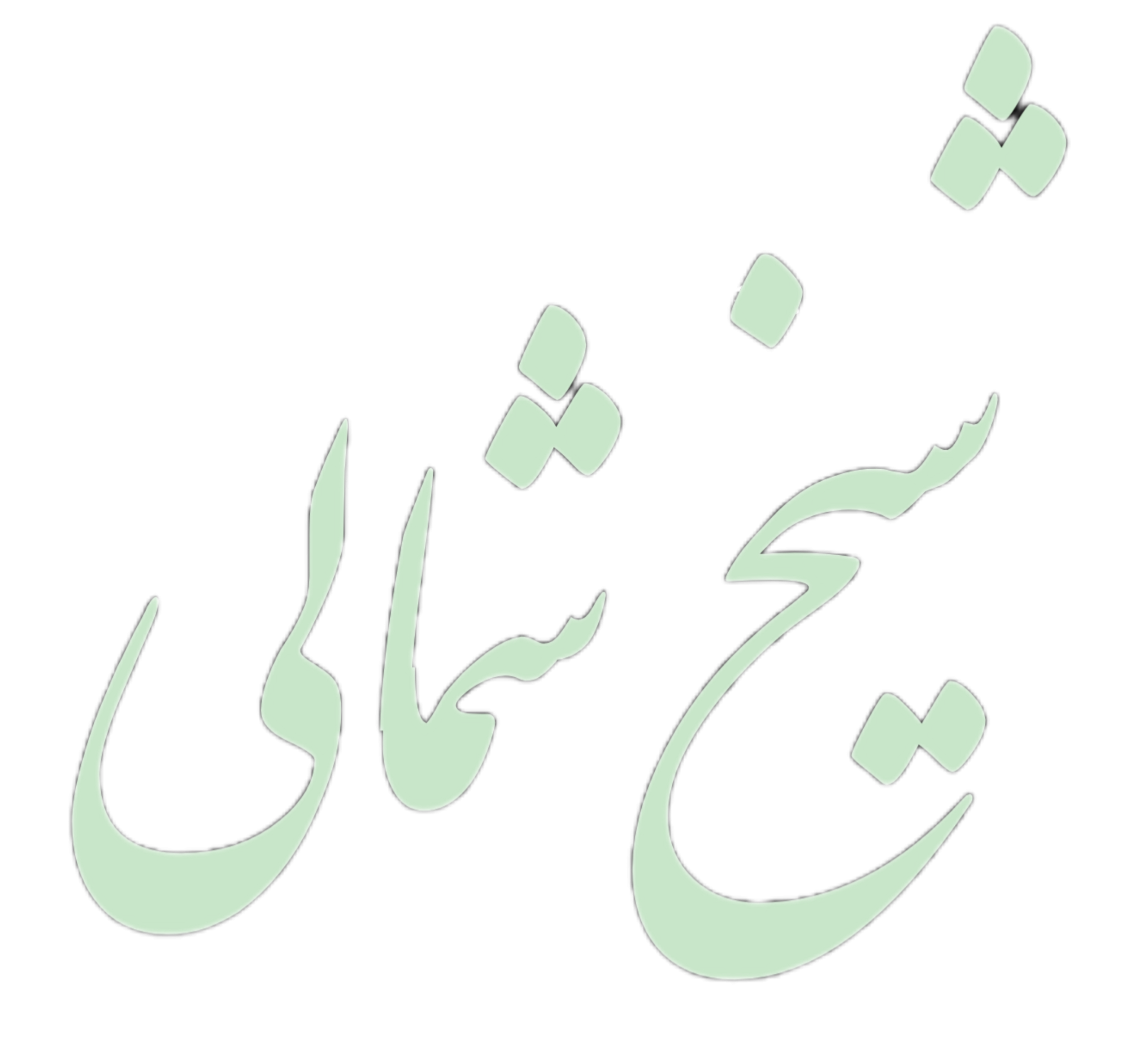 شیخ شمالی